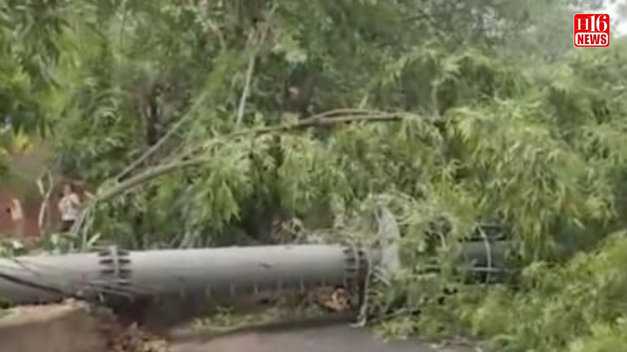 Delhi: 100-feet-tall mobile tower collapses in Safdarjung Enclave in early hours, nine injured